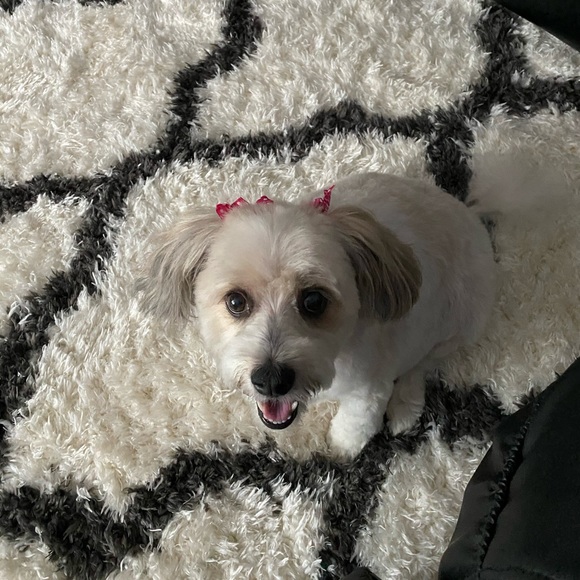 My Best Friend Forever In My Heart 💕 - Picture 16 of 17